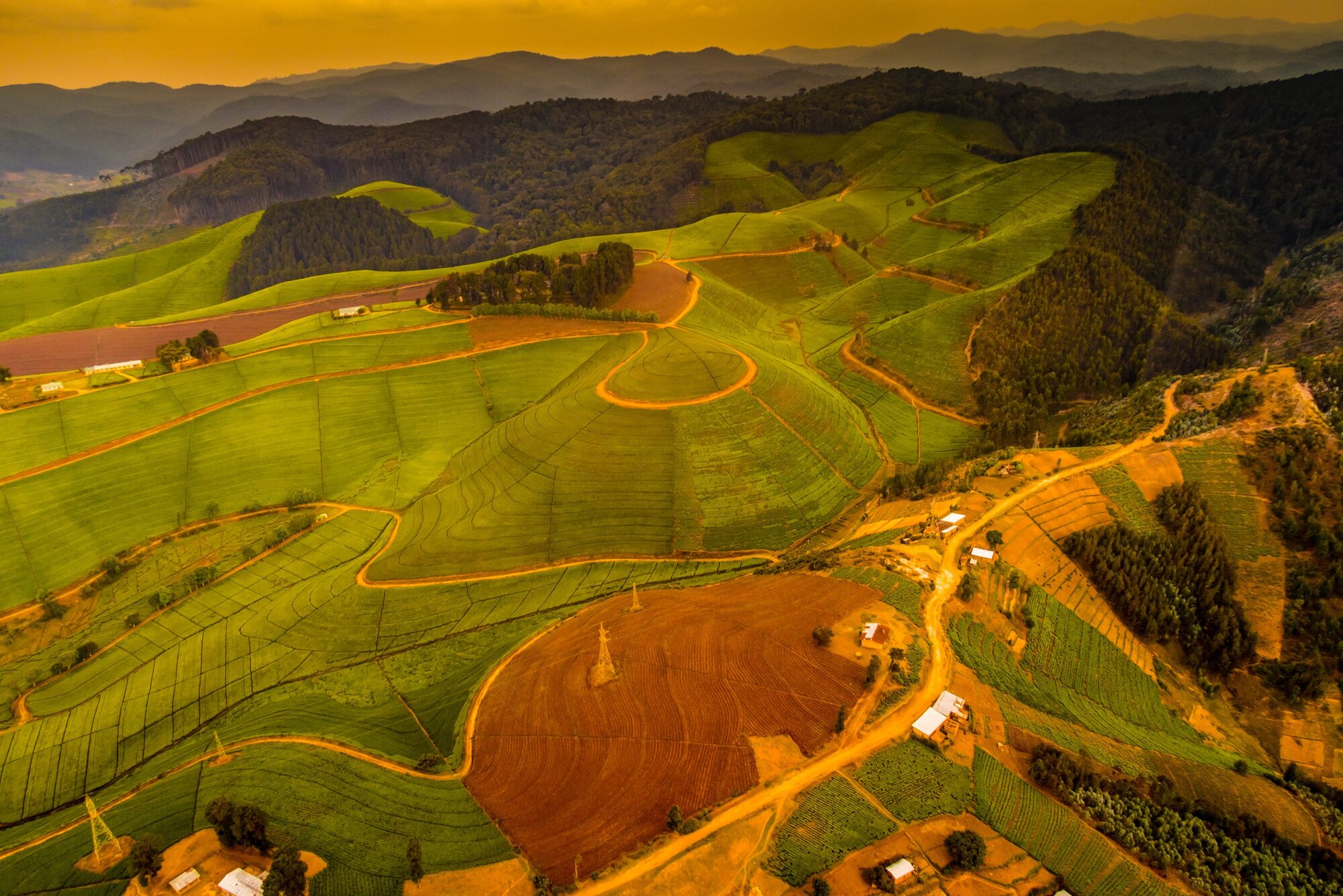 Thousand hills of Rwanda at dusk, terraced green ridges to the horizon
