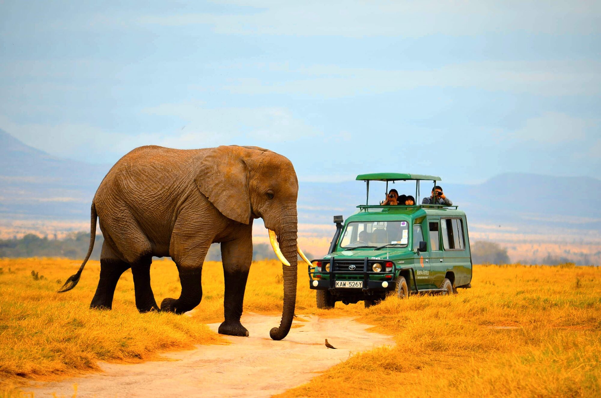 East African Arc — Kenya, Tanzania and Rwanda golf safari