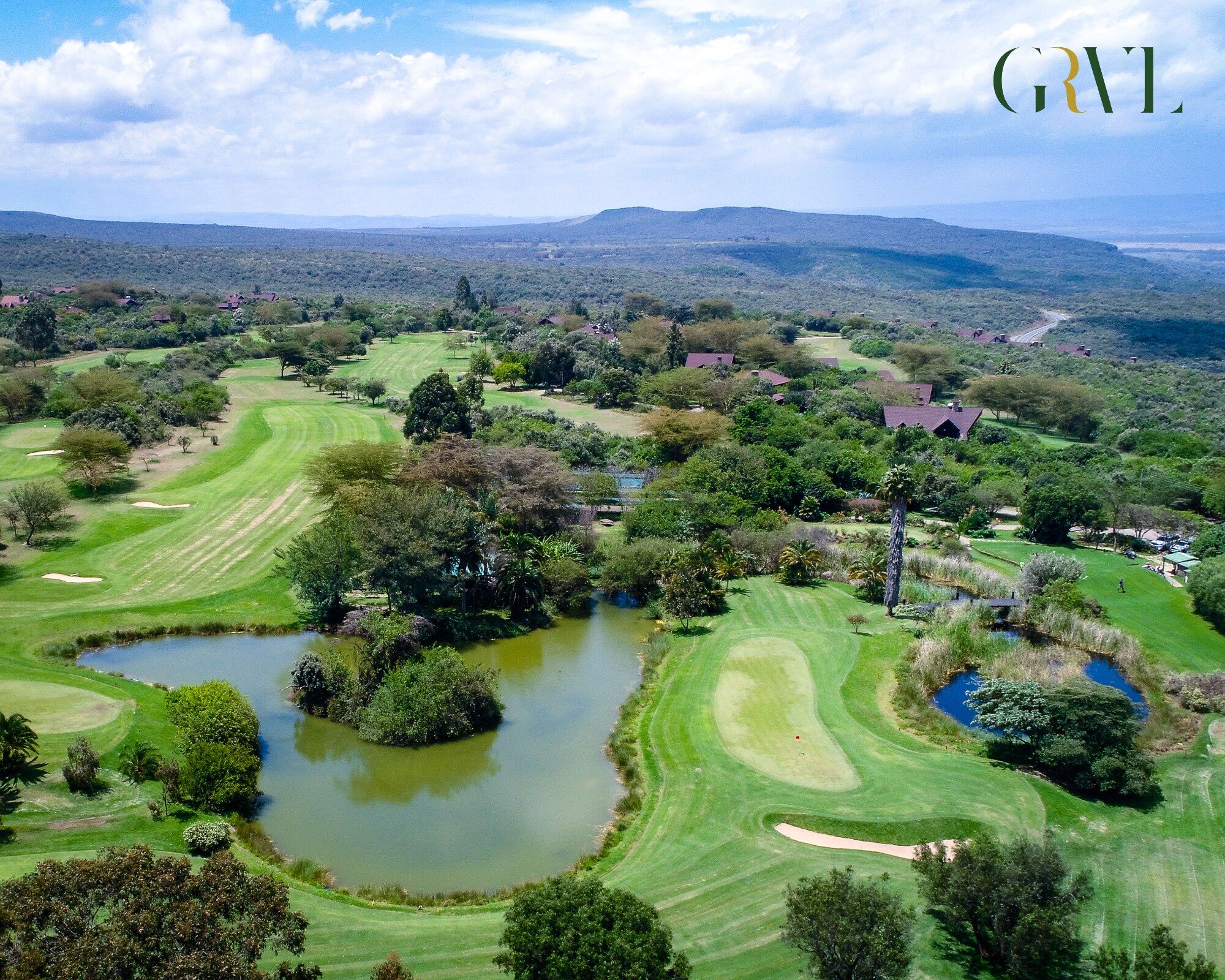 Golfer driving at Great Rift Valley Resort, zebra and Lake Naivasha beyond