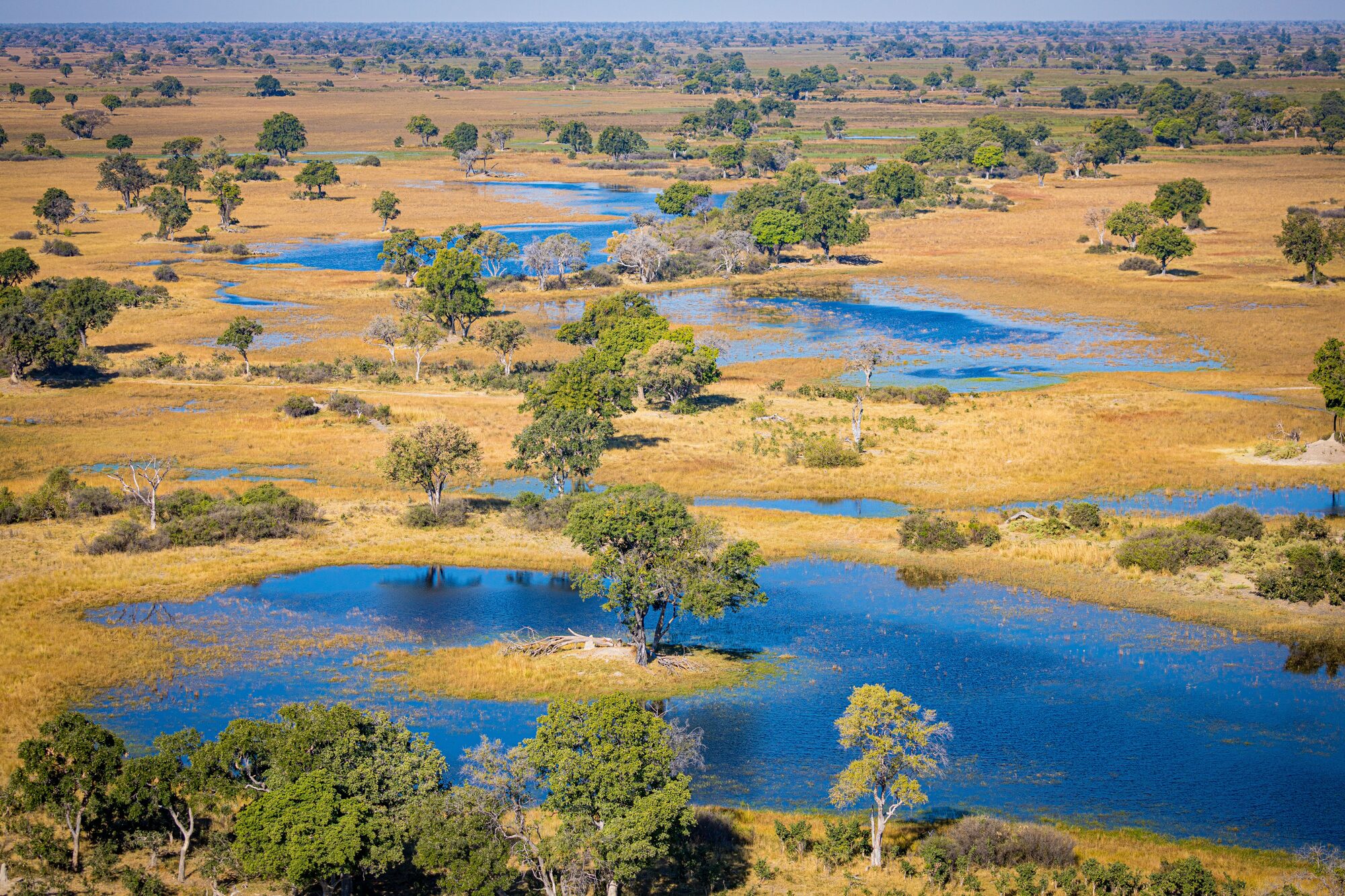 Okavango Delta channels from the air, green and blue