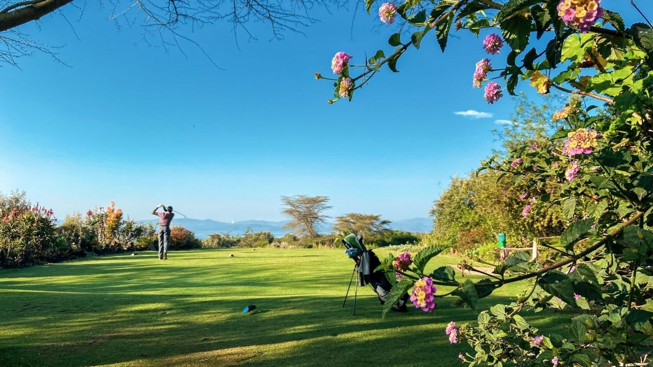 The Gallery's guide: a golf safari for the non-golfer
