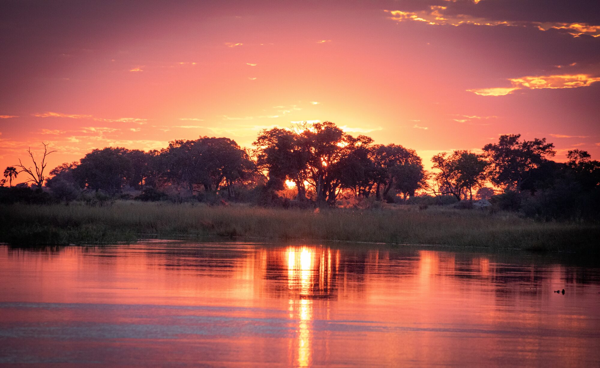 A quiet return to Mukwa