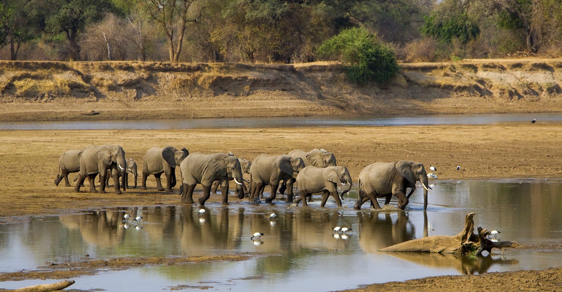 Chinzombo Lodge, South Luangwa — Zambia