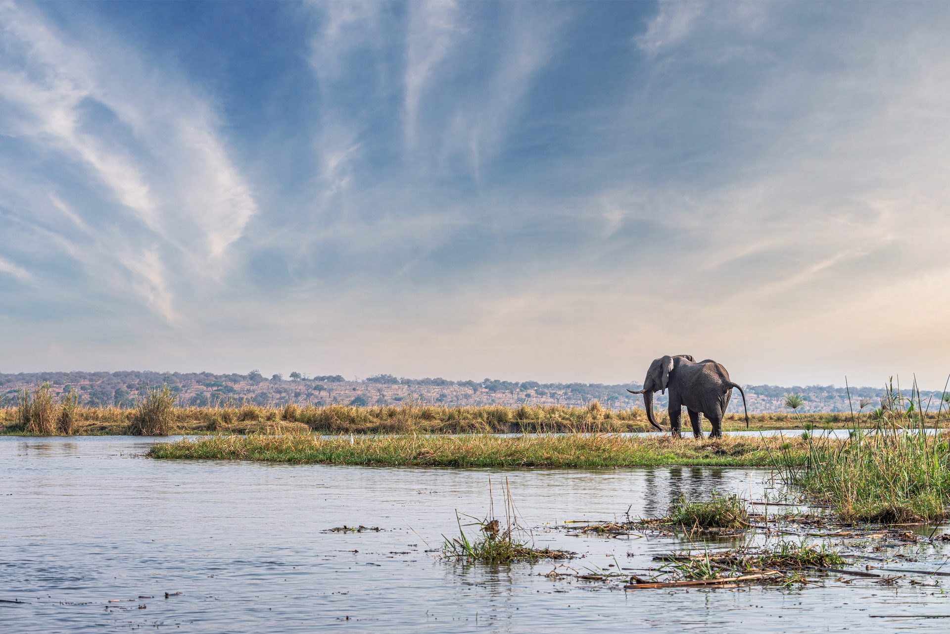 Chobe Chilwero, Chobe — Botswana