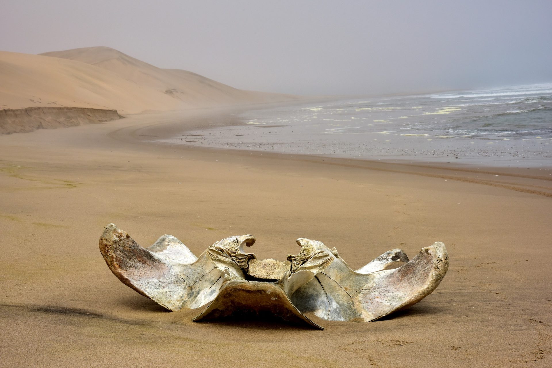 Hoanib Skeleton Coast Camp, Skeleton Coast — Namibia