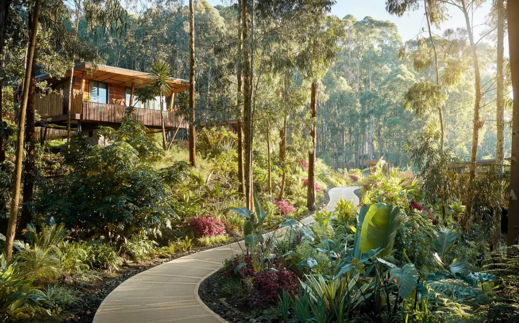 One&Only Gorilla's Nest suite with mountain view, Rwanda